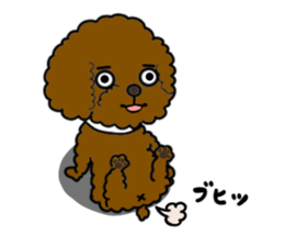 Anna is a mother of toy poodles sticker #14890391
