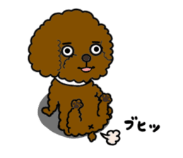 Anna is a mother of toy poodles sticker #14890391