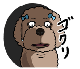 Anna is a mother of toy poodles sticker #14890392