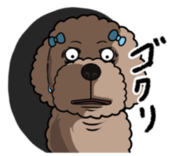 Anna is a mother of toy poodles sticker #14890392