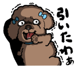 Anna is a mother of toy poodles sticker #14890393