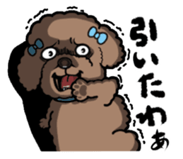 Anna is a mother of toy poodles sticker #14890393