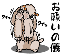 Anna is a mother of toy poodles sticker #14890403