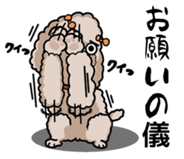 Anna is a mother of toy poodles sticker #14890403