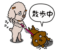 Anna is a mother of toy poodles sticker #14890406