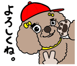 Anna is a mother of toy poodles sticker #14890407