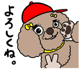 Anna is a mother of toy poodles sticker #14890407