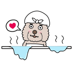 Anna is a mother of toy poodles sticker #14890408