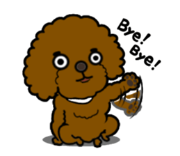 Anna is a mother of toy poodles sticker #14890409