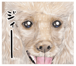 Anna is a mother of toy poodles sticker #14890410