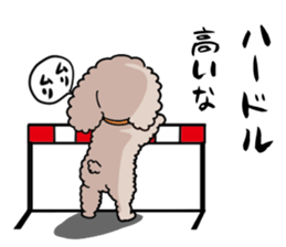 Anna is a mother of toy poodles sticker #14890411