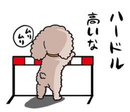 Anna is a mother of toy poodles sticker #14890411