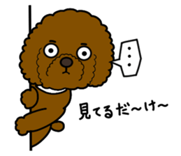 Anna is a mother of toy poodles sticker #14890412