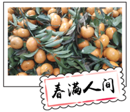 Chinese New Year greeting card3 sticker #14893139