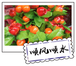 Chinese New Year greeting card3 sticker #14893149