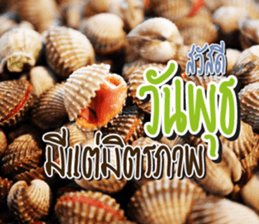 Good Morning Today sticker #14893169