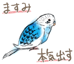 Sticker "MASUMI" sticker #14897133