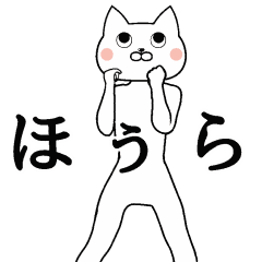 Cat's costume animation