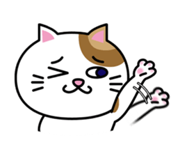 (78)Cat&Kappa sticker #14899574