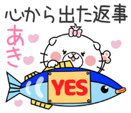 Cat Sticker Aki sticker #14903166