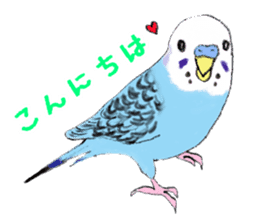 Colorful budgies sticker #14903286