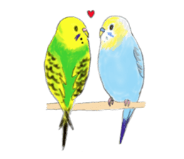 Colorful budgies sticker #14903289