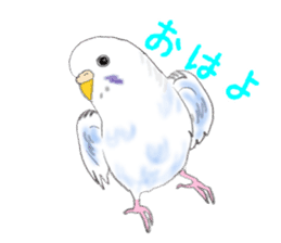 Colorful budgies sticker #14903290