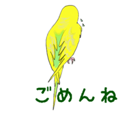 Colorful budgies sticker #14903291