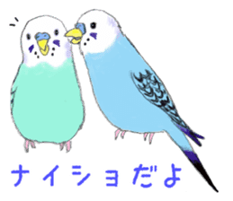 Colorful budgies sticker #14903292