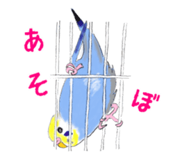 Colorful budgies sticker #14903296