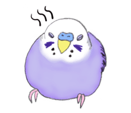 Colorful budgies sticker #14903298