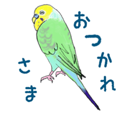 Colorful budgies sticker #14903299