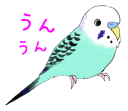 Colorful budgies sticker #14903301