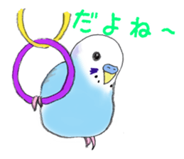 Colorful budgies sticker #14903303