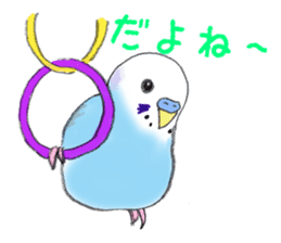 Colorful budgies sticker #14903303
