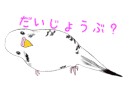 Colorful budgies sticker #14903307