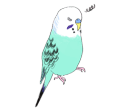 Colorful budgies sticker #14903308