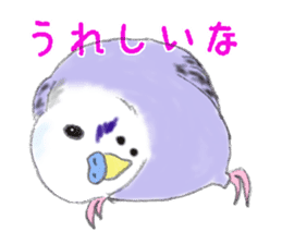 Colorful budgies sticker #14903309