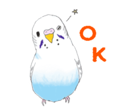 Colorful budgies sticker #14903310