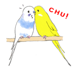 Colorful budgies sticker #14903311