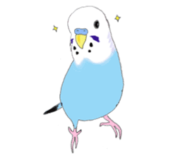 Colorful budgies sticker #14903313