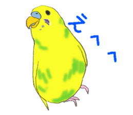Colorful budgies sticker #14903315