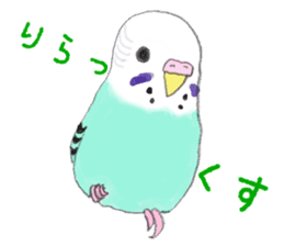 Colorful budgies sticker #14903316