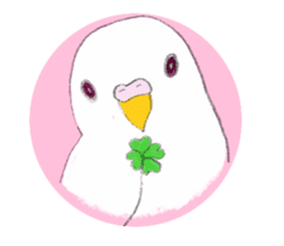 Colorful budgies sticker #14903317