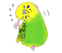 Colorful budgies sticker #14903318