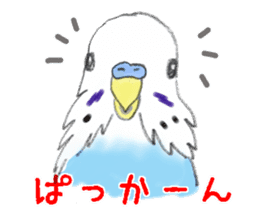 Colorful budgies sticker #14903320