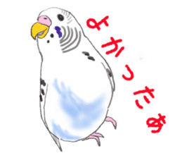 Colorful budgies sticker #14903321