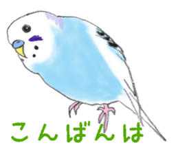 Colorful budgies sticker #14903323