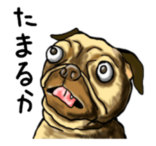 tosa zoo (move) sticker #14903494