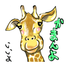 tosa zoo (move) sticker #14903515